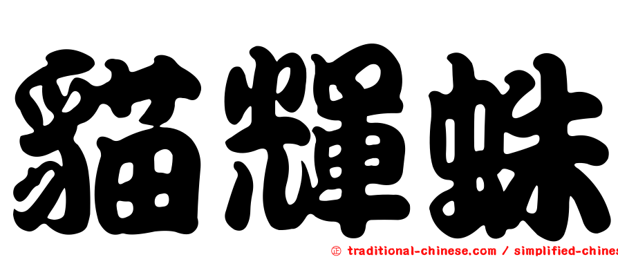 貓輝蛛
