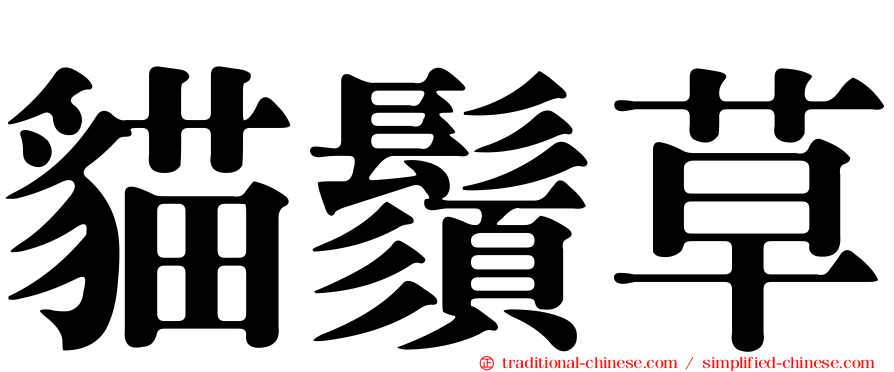 貓鬚草