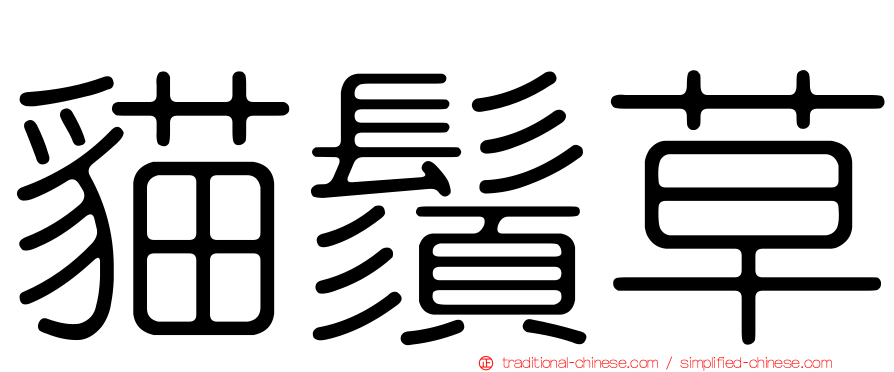 貓鬚草