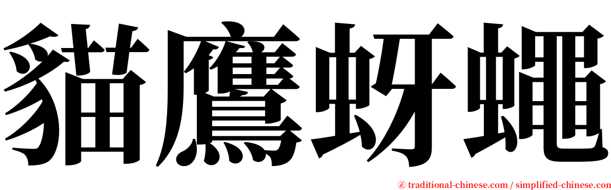 貓鷹蚜蠅 serif font