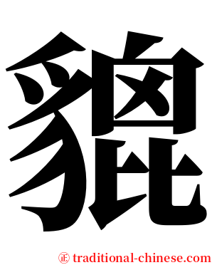 貔 serif font