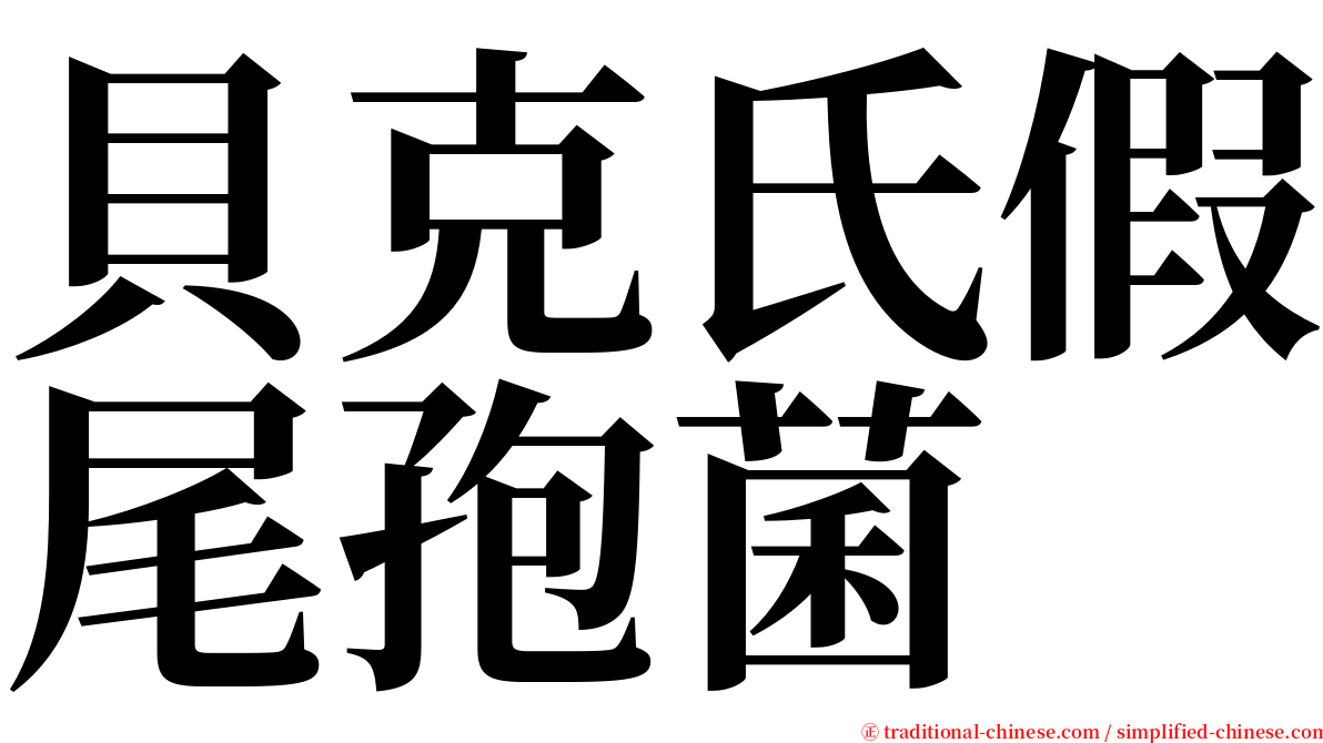 貝克氏假尾孢菌 serif font