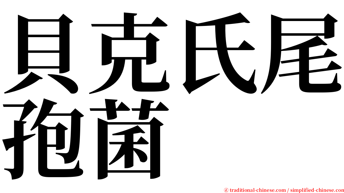 貝克氏尾孢菌 serif font