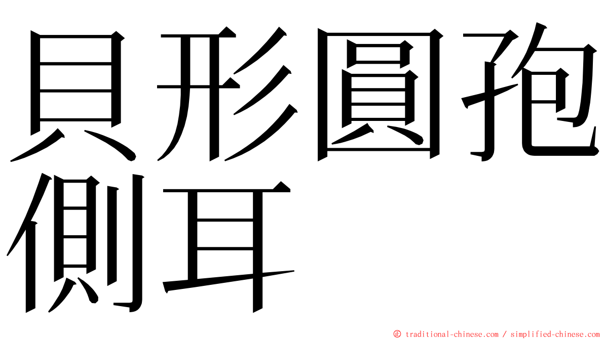 貝形圓孢側耳 ming font