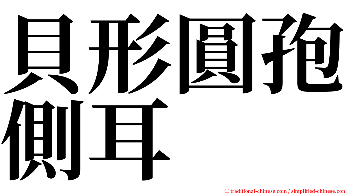 貝形圓孢側耳 serif font
