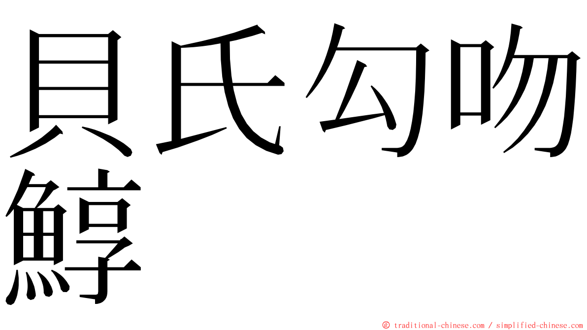 貝氏勾吻鯙 ming font