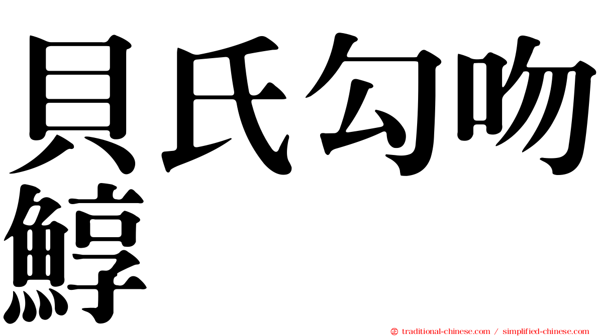 貝氏勾吻鯙