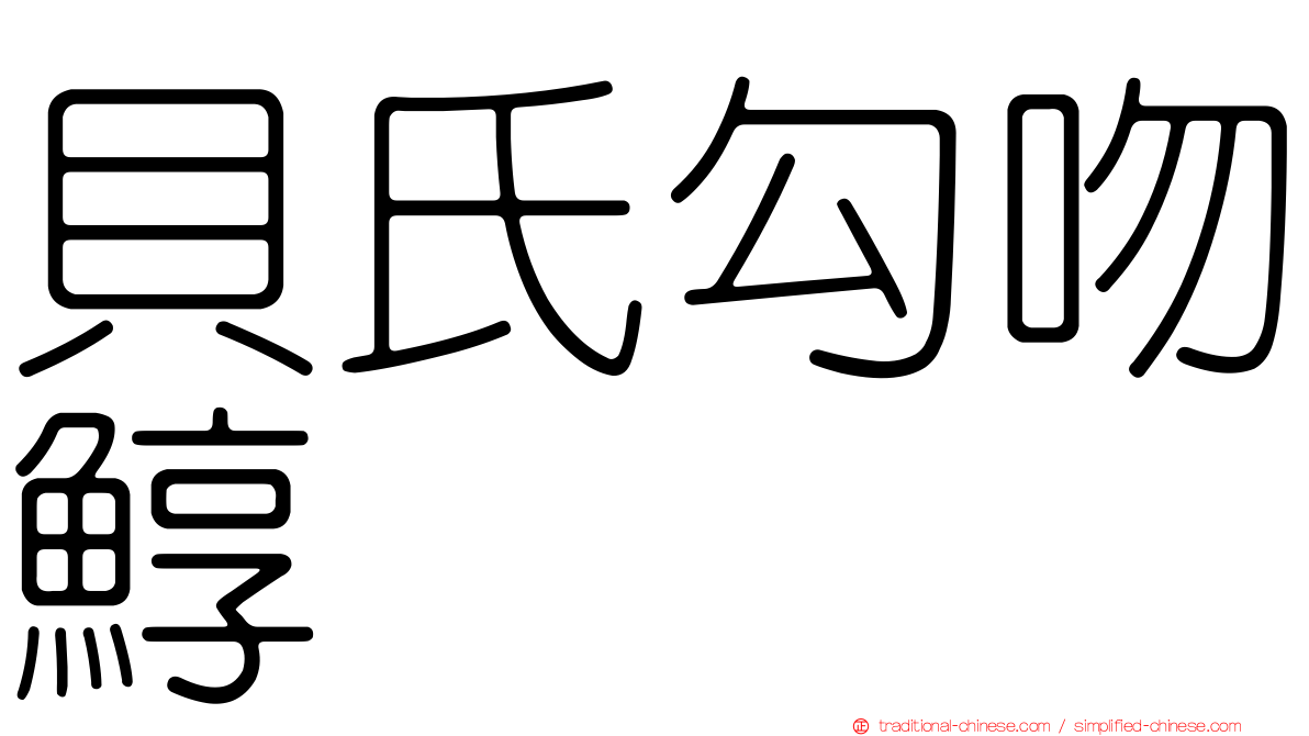 貝氏勾吻鯙