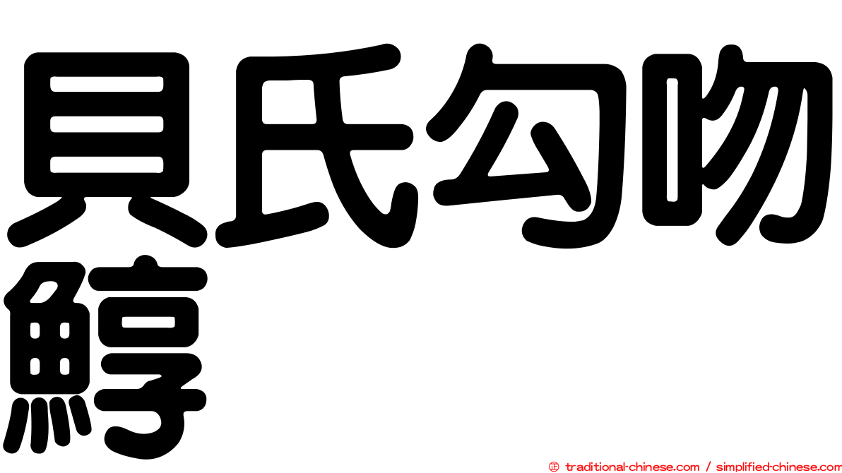 貝氏勾吻鯙