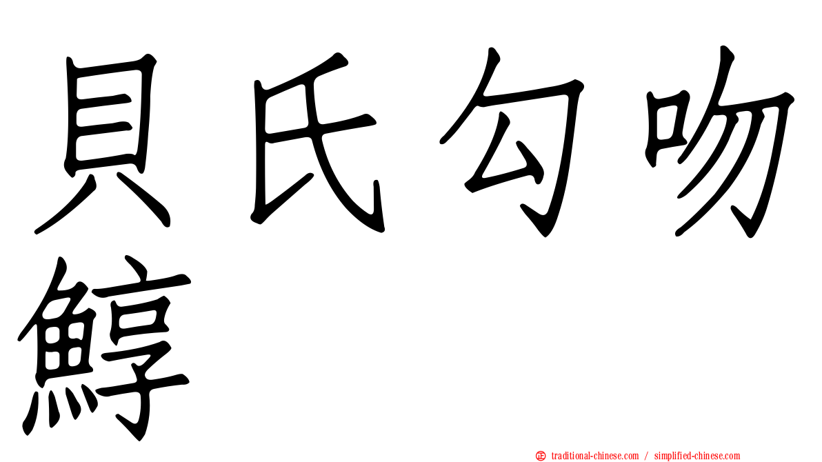 貝氏勾吻鯙