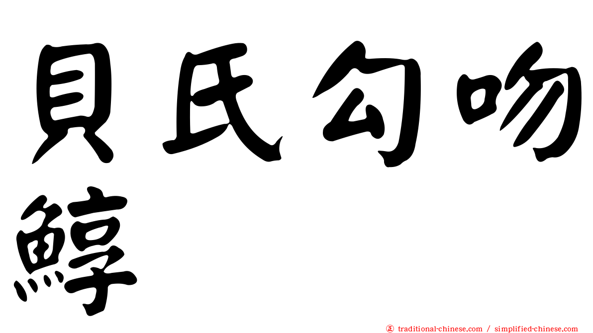 貝氏勾吻鯙