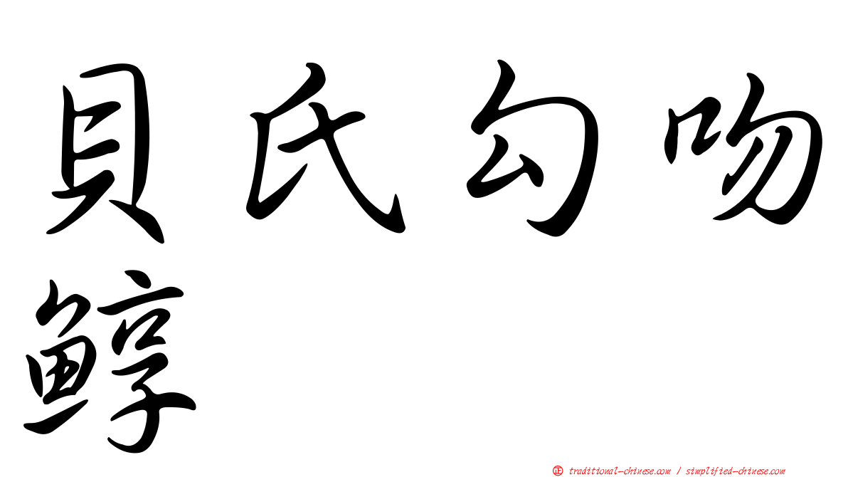 貝氏勾吻鯙