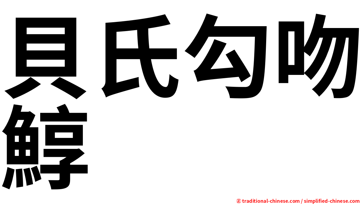 貝氏勾吻鯙