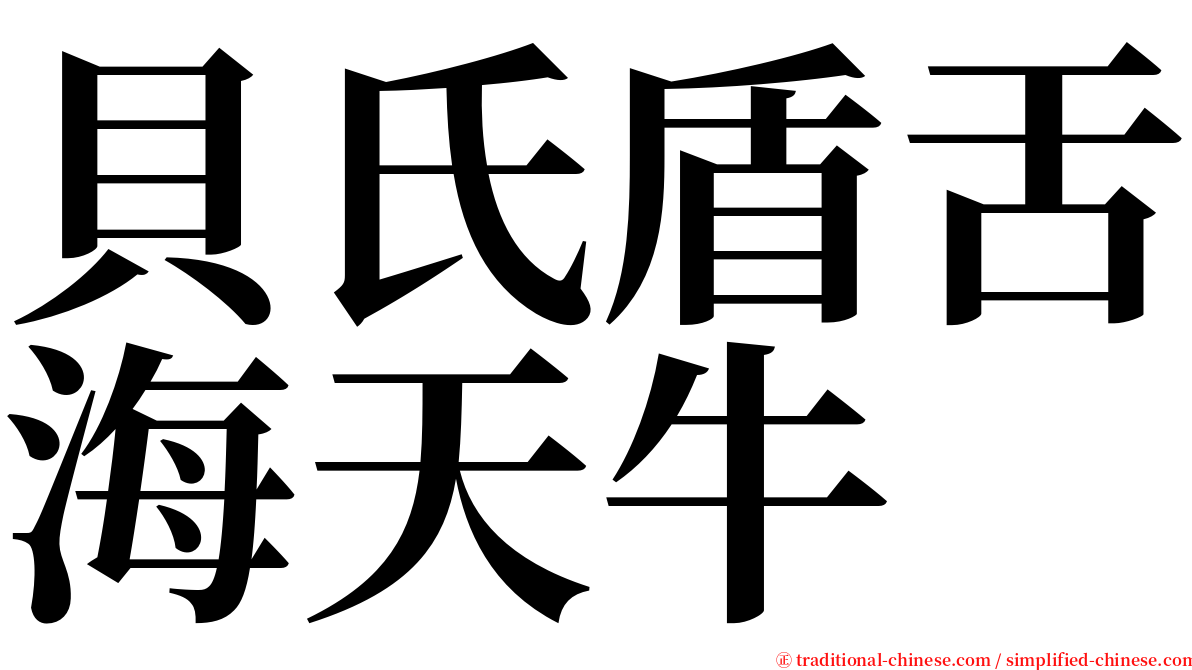 貝氏盾舌海天牛 serif font