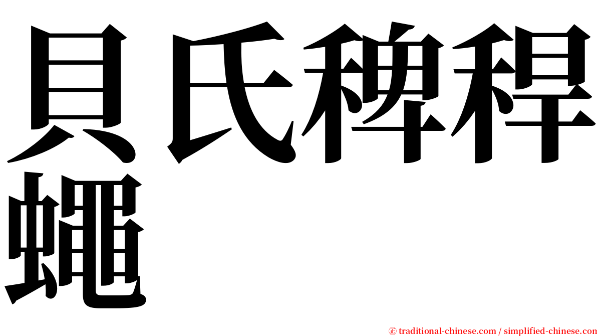 貝氏稗稈蠅 serif font
