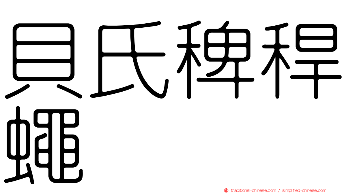 貝氏稗稈蠅