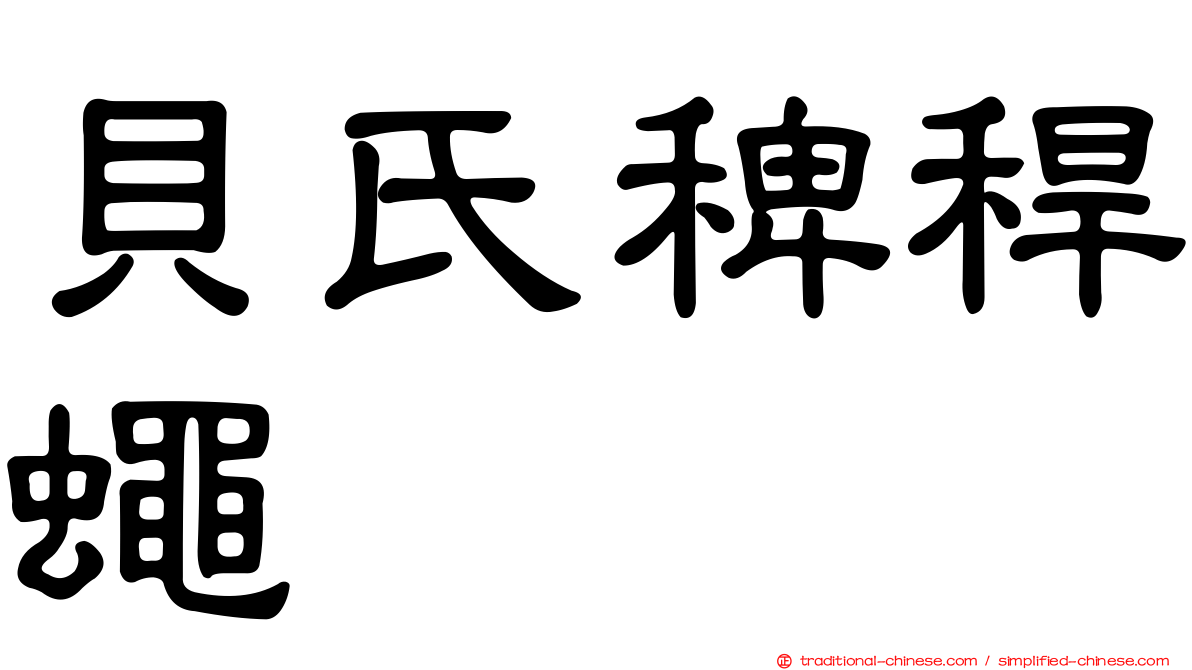 貝氏稗稈蠅