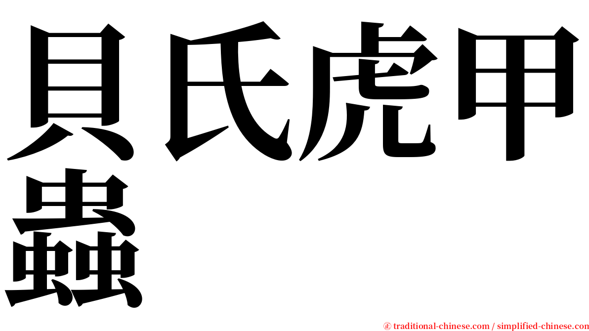 貝氏虎甲蟲 serif font