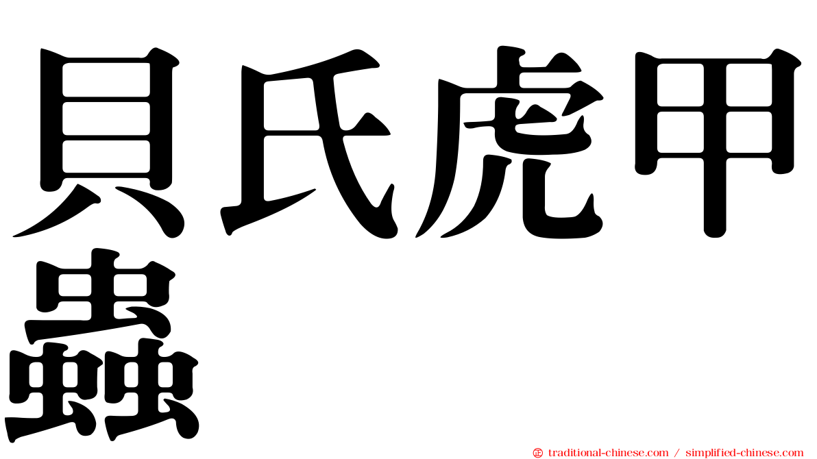 貝氏虎甲蟲