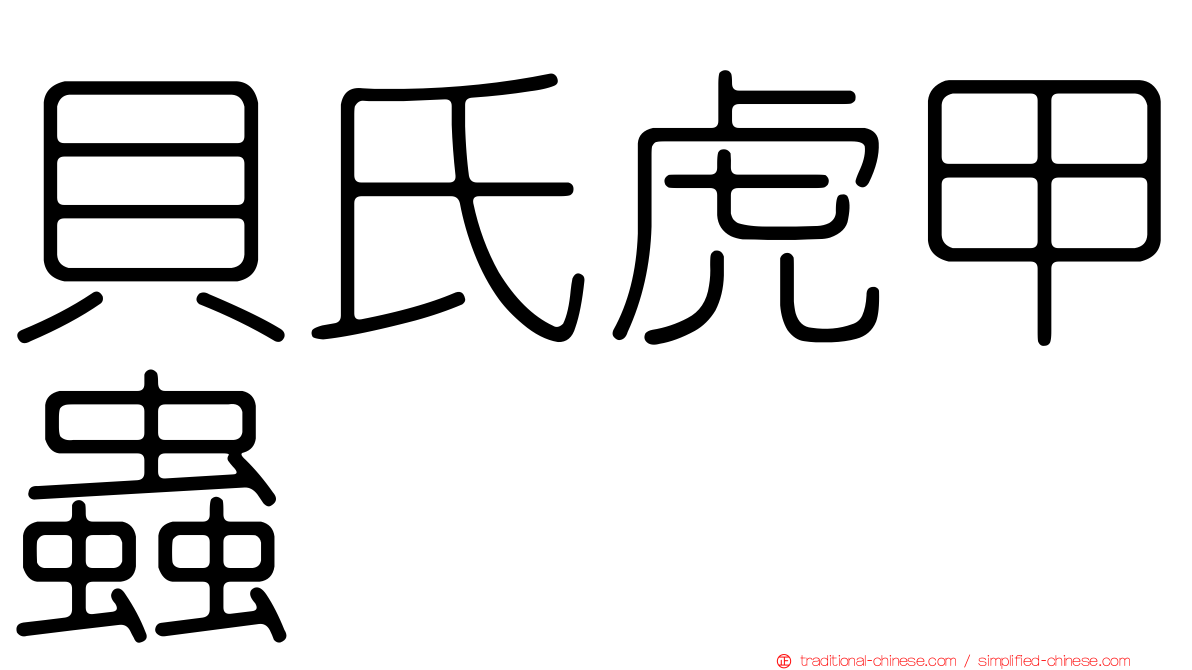 貝氏虎甲蟲
