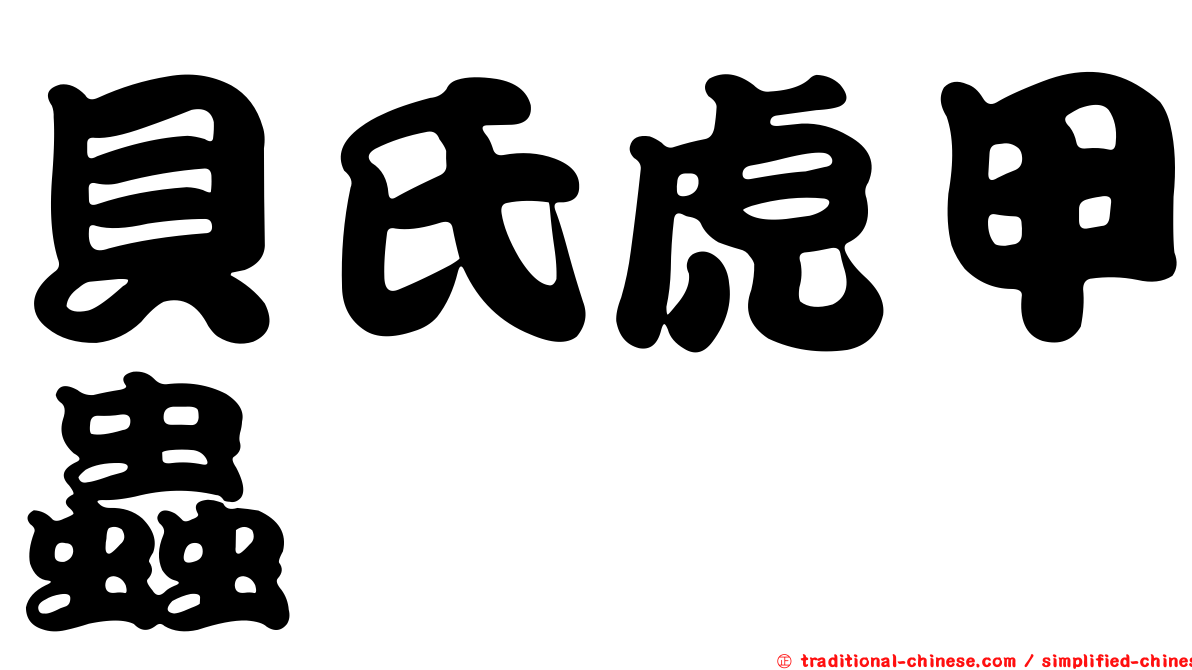 貝氏虎甲蟲