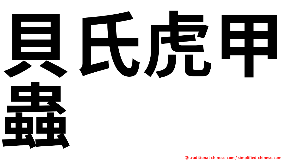 貝氏虎甲蟲