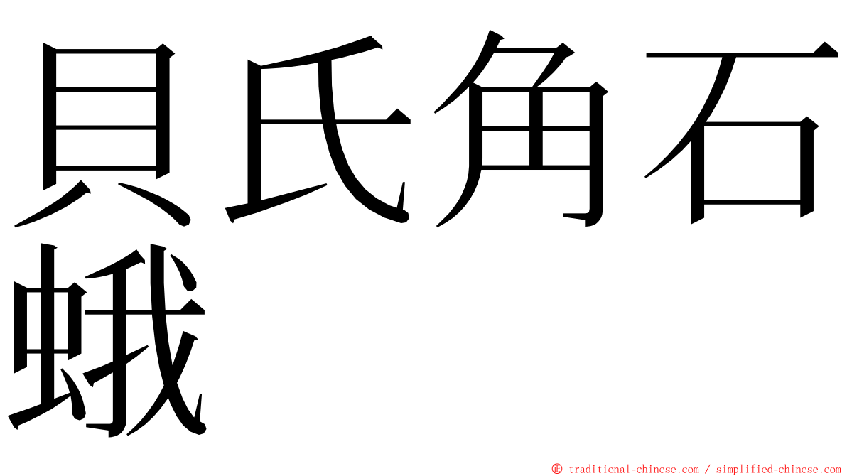 貝氏角石蛾 ming font
