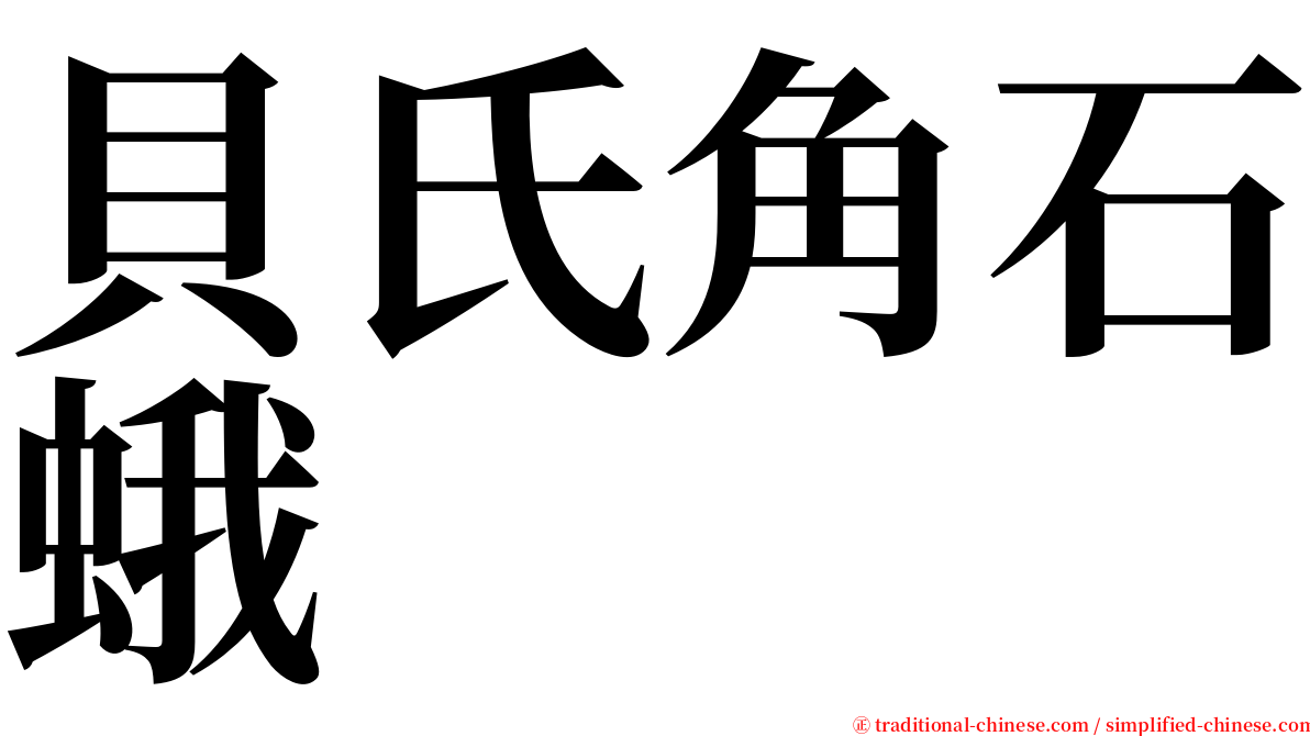 貝氏角石蛾 serif font