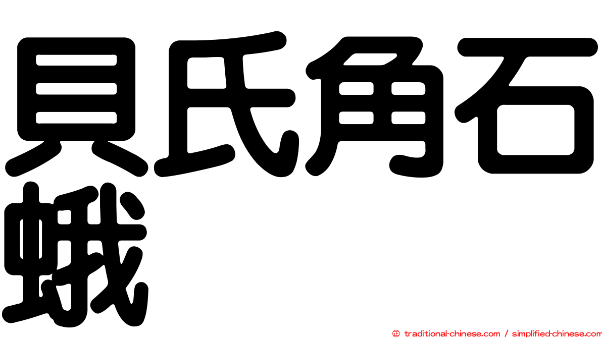 貝氏角石蛾