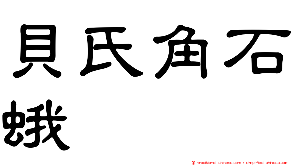 貝氏角石蛾