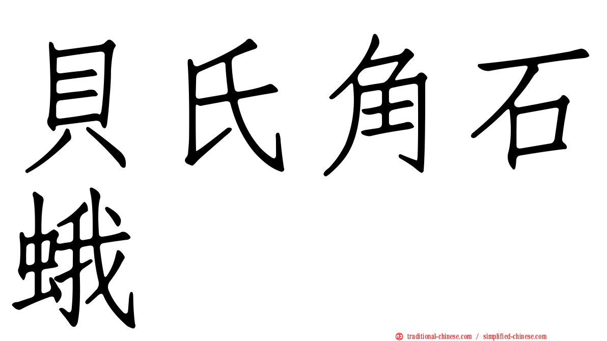 貝氏角石蛾