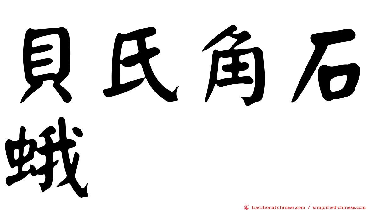 貝氏角石蛾