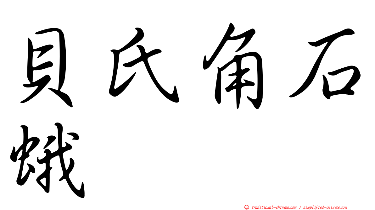 貝氏角石蛾