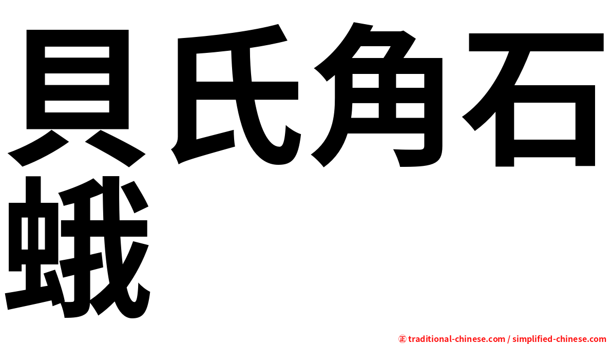 貝氏角石蛾