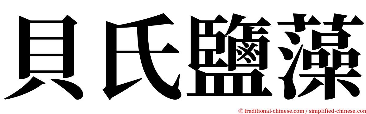 貝氏鹽藻 serif font