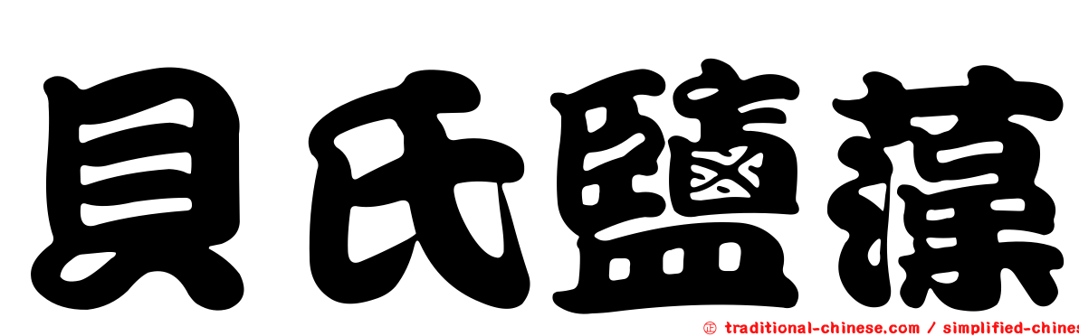 貝氏鹽藻