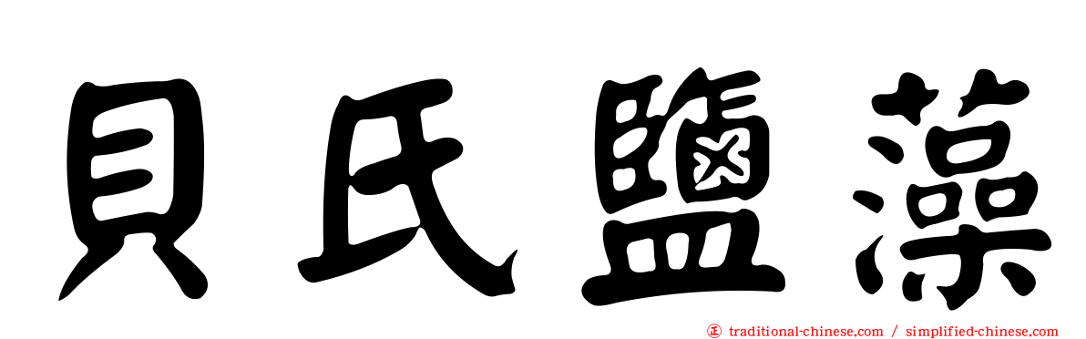 貝氏鹽藻