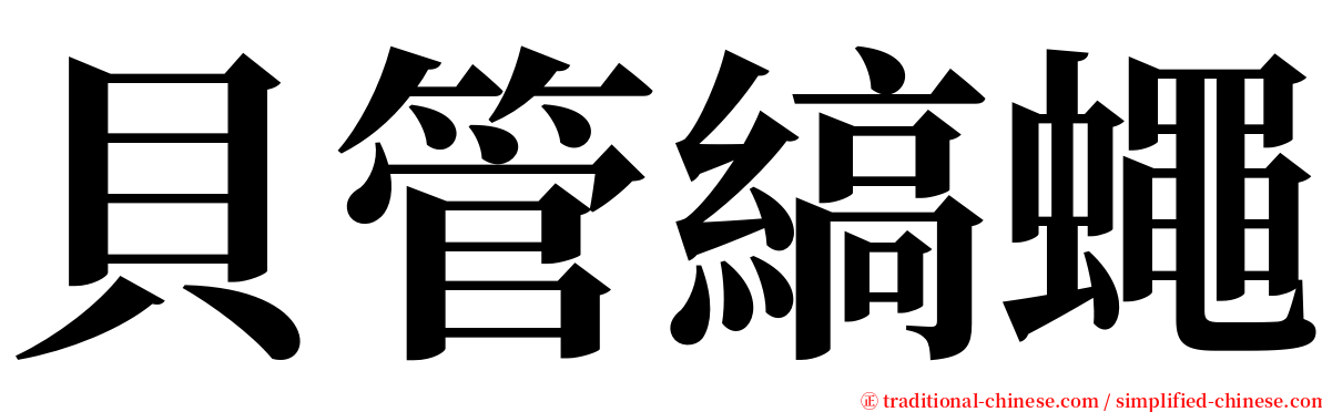 貝管縞蠅 serif font