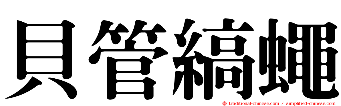 貝管縞蠅