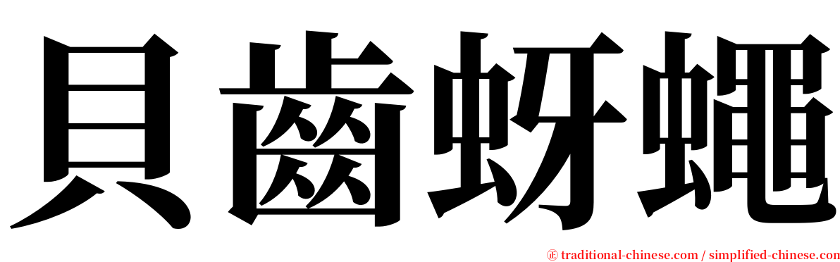 貝齒蚜蠅 serif font