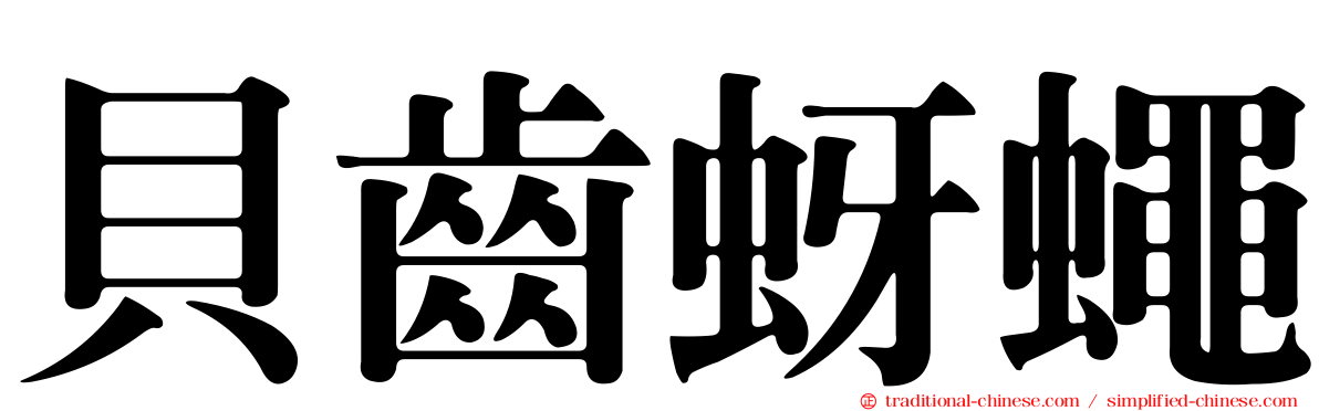 貝齒蚜蠅