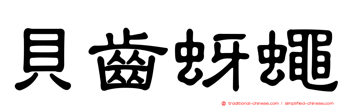 貝齒蚜蠅