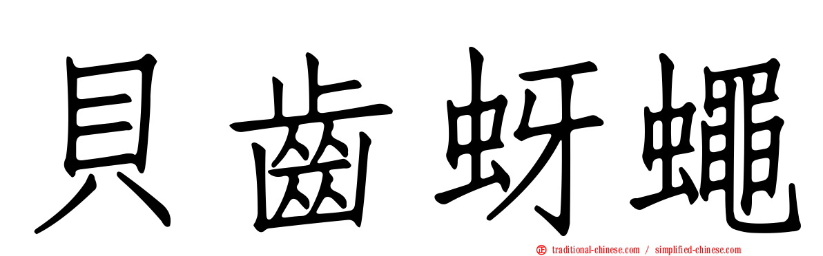 貝齒蚜蠅