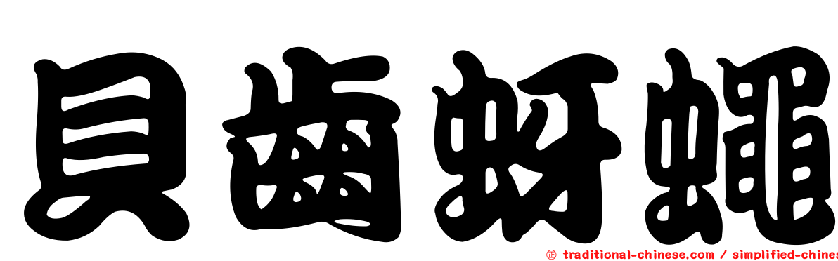 貝齒蚜蠅