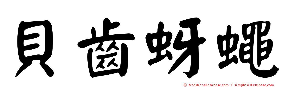 貝齒蚜蠅
