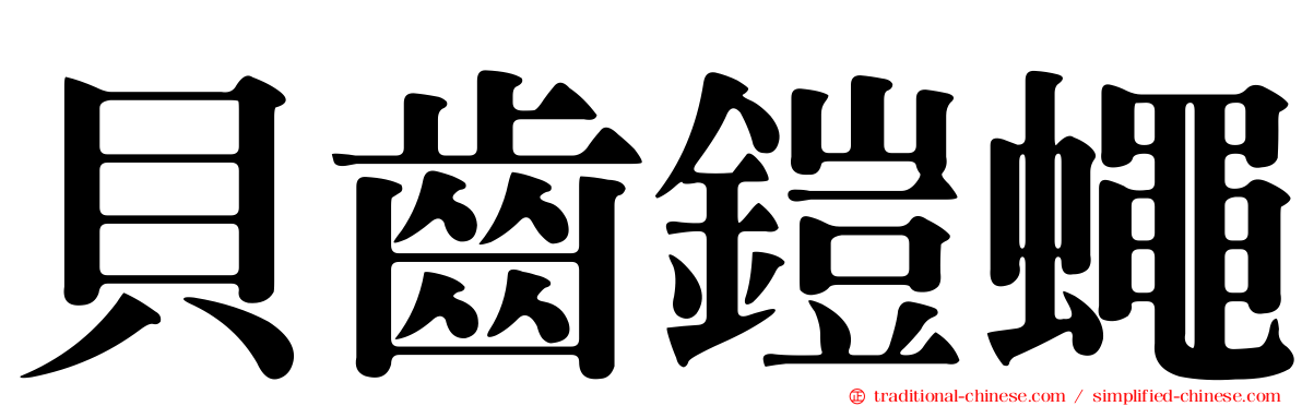 貝齒鎧蠅