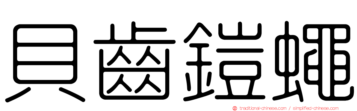 貝齒鎧蠅