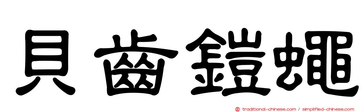 貝齒鎧蠅