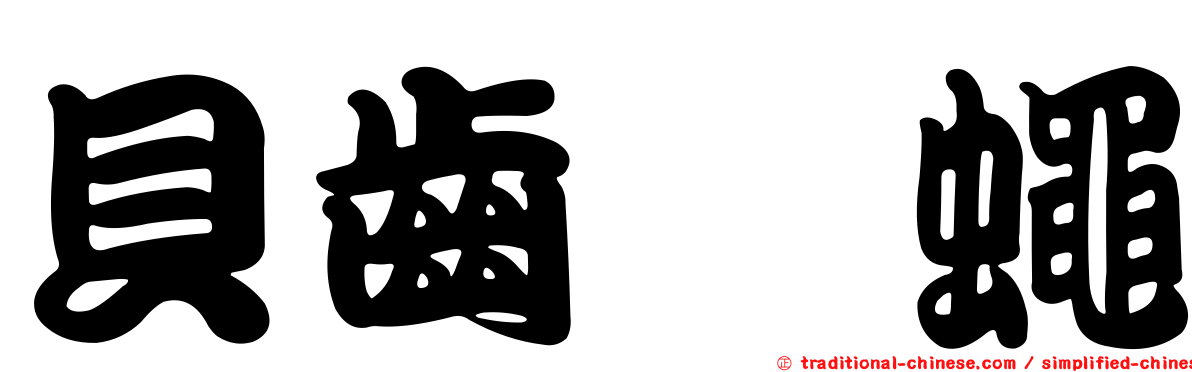 貝齒鎧蠅