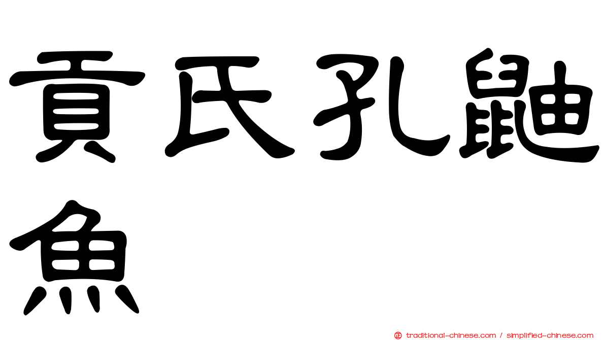 貢氏孔鼬魚